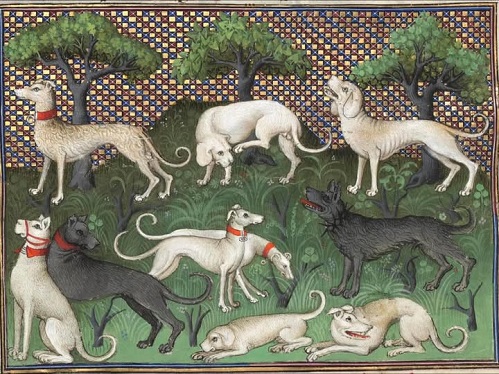 huntin dogs dog day.jpg